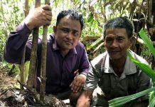 រកឃើញពងក្រពើជិតផុតពូជលើពិភពលោកនៅខេត្តកោះកុង