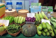 អ្នកជំនាញកសិកម្ម ទំនិញចាក់ចោលមកពីកសិករអត់ទាន់មានសហគមន៍