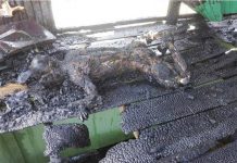 អនិច្ចា!!ជីវិតយុវជនវ័យ១៥ឆ្នាំម្នាក់ត្រូវបានស្លាប់ក្នុងភ្នក់ភ្លើងករណីអគ្គីភ័យ