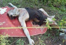 ប្រទះឃើញសពមនុស្សម្នាក់ហើមស្អុយក្នុងប្រឡាយទឹក