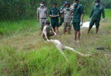 យុវជនម្នាក់ ដេកស្លាប់អាក្រាតកាយនៅកណ្តាលព្រៃកូនគគីរ