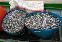 អ្នកកាសែត២នាក់ត្រូវបានឃាត់ខ្លួនពីបទជំរិតទាប្រាក់