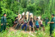 ពលរដ្ឋ11នាក់ លួចឆ្លងដែនកាប់ឈើក្រញូង ក្នុងទឹកដីថៃ ត្រូវ នគរបាលឃាត់ខ្លួន