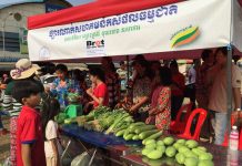 កម្ពុជាត្រូវការពេលវេលាយូរ ដើម្បីធ្វើឲ្យវិស័យកសិកម្មរីកចម្រើន