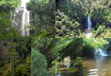 ចំបក់រមណីយដ្ឋានធម្មជាតិស្រស់ស្អាតកណ្ដាលព្រៃជាមន្តស្នេហ៍ដ៏ពិសិដ្ឋ