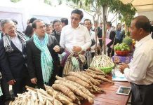 រដ្ឋមន្ត្រីពាណិជ្ជកម្ម៖ «តម្រូវការដំឡូងមីសម្រាប់ទីផ្សារក្នុងតំបន់ និងពិភពលោក នឹងមានកំណើនខ្ពស់»!