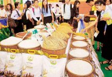 ប្រទេសចំនួន ៣ស្រូបយកអង្ករកម្ពុជា ច្រើនជាងគេ!