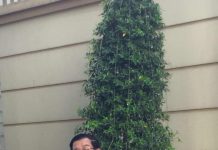 សម្តេចតេជោ ហ៊ុន សែន អំពាវនាវឱ្យប្រជាពលរដ្ឋ រស់នៅតំបន់មាត់សមុទ្រ មានការប្រុងប្រយ័ត្នចំពោះការប្រែប្រួលអាកាសធាតុ និងសម្ពាធខ្យល់