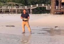 លោកឧកញ៉ា ទៀ វិចិត្រ បន្តព្រលែងសត្វអណ្តើកសមុទ្រមួយក្បាលទៀតចូលក្នុងសមុទ្រធម្មជាតិវិញ